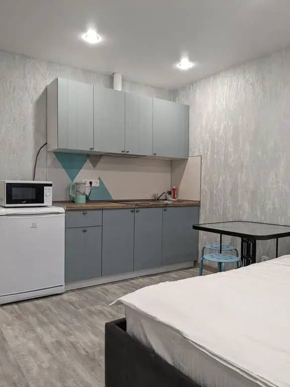 Апартаменты RentHome студия Мята на Южном шоссе у ТЦ Амбар: фото 4