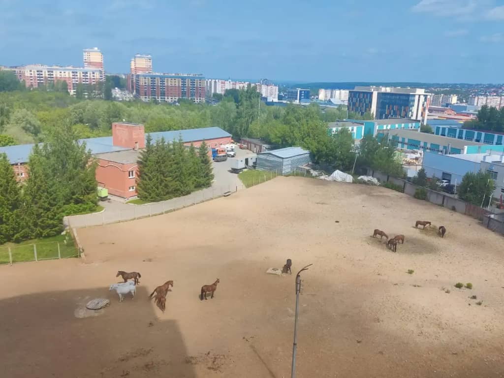Апартаменты в ЖК Созвездие недалеко от центра: фото 5