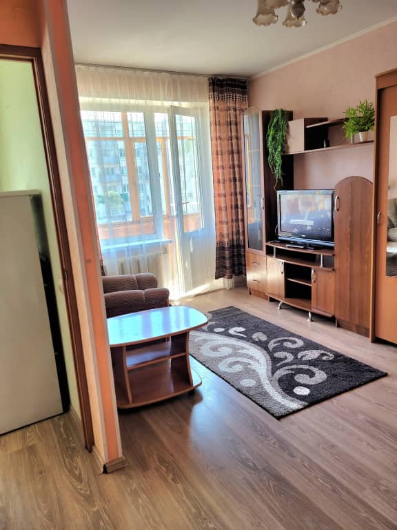 Квартира 1 комнатная на Красноярском рабочем: фото 6