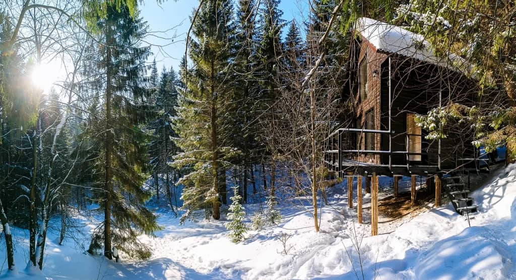 Глэмпинг Опушка Дом среди деревьев: фото 5
