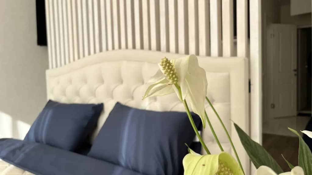 Апартаменты Moments House Нео-Классика: фото 4