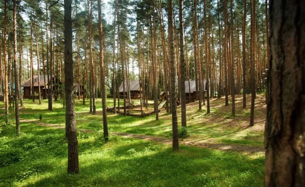 Загородный комплекс отдыха Волжанка: фото 5
