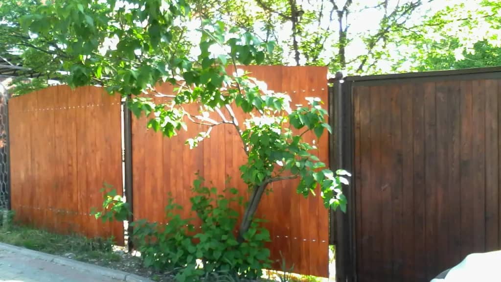 Гостевой Дом Атланта: фото 6
