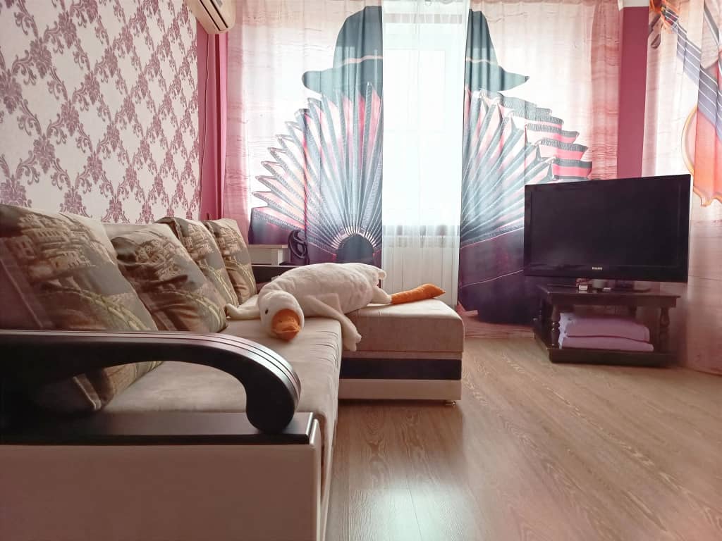 Квартира Двухкомнатная BaileVida rent на Гвардейском: фото 6