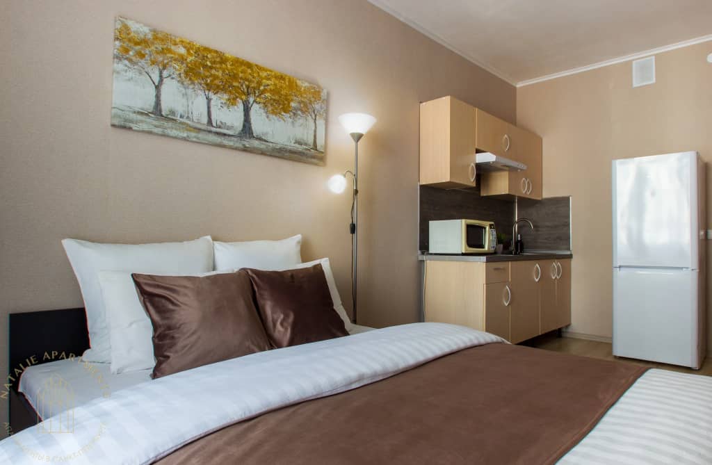 Апартаменты Студия Natalie Apartments Пулковское шоссе 14 Е (16): фото 5