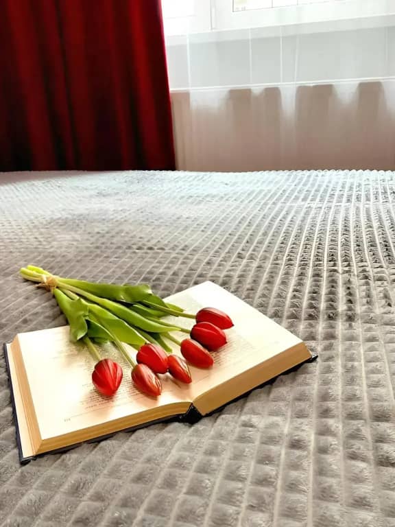 Квартира Студия: фото 4