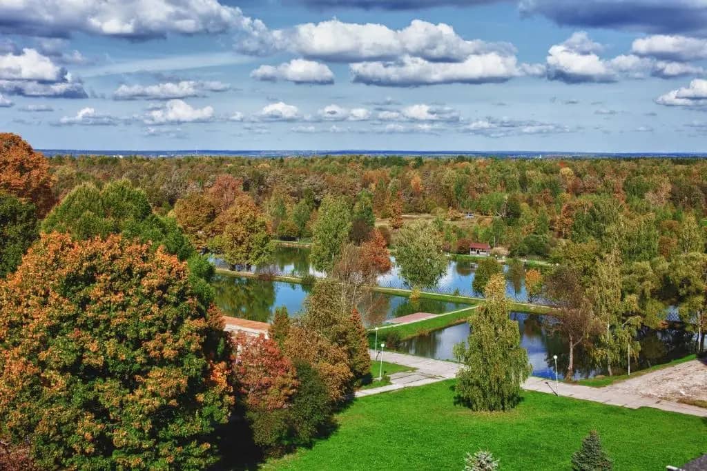Отель Тюлип Инн Софрино Парк: фото 6