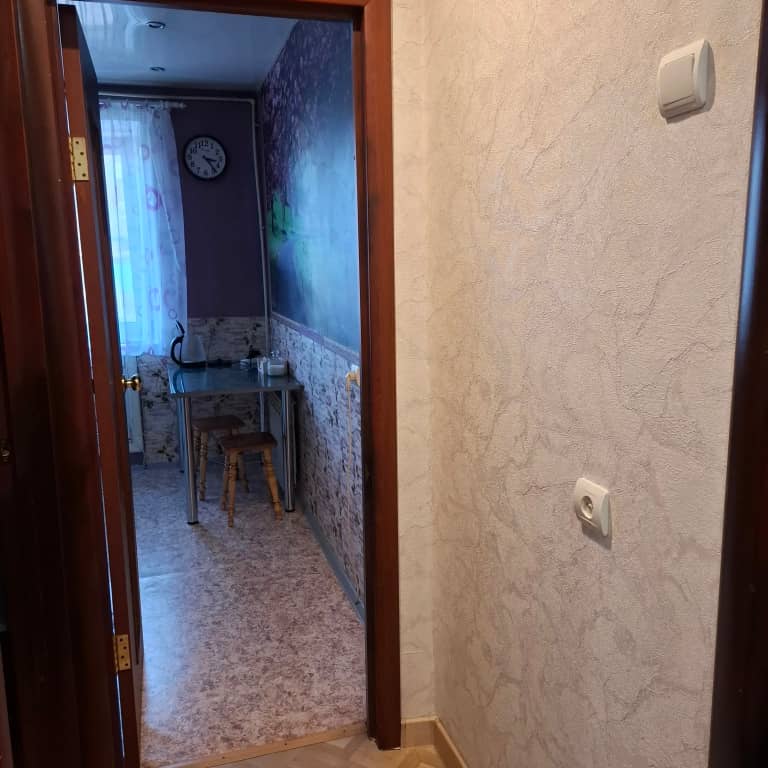 Квартира Радищева: фото 4