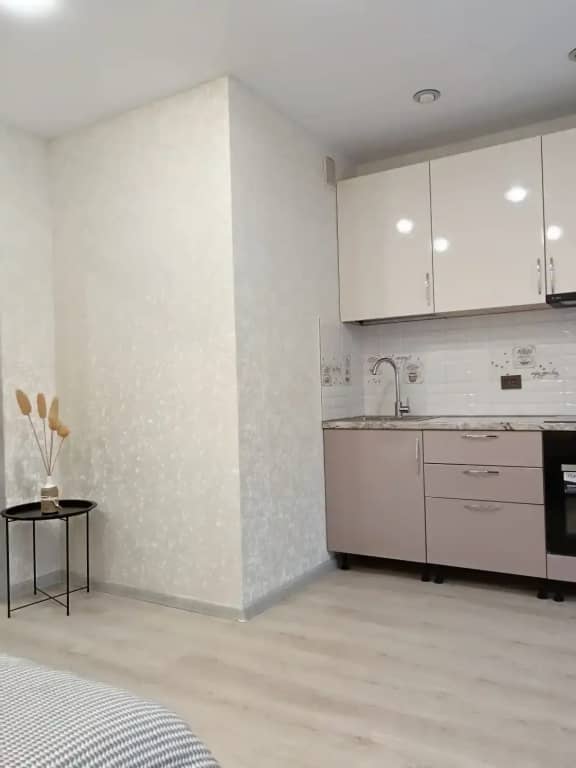 Квартира Апартаменты Уютная Студия рядом с Аэропортом Кольцово: фото 6