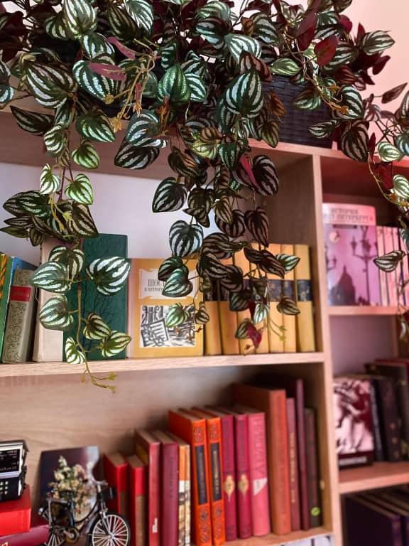 Квартира Art Home у Исаакия: фото 6