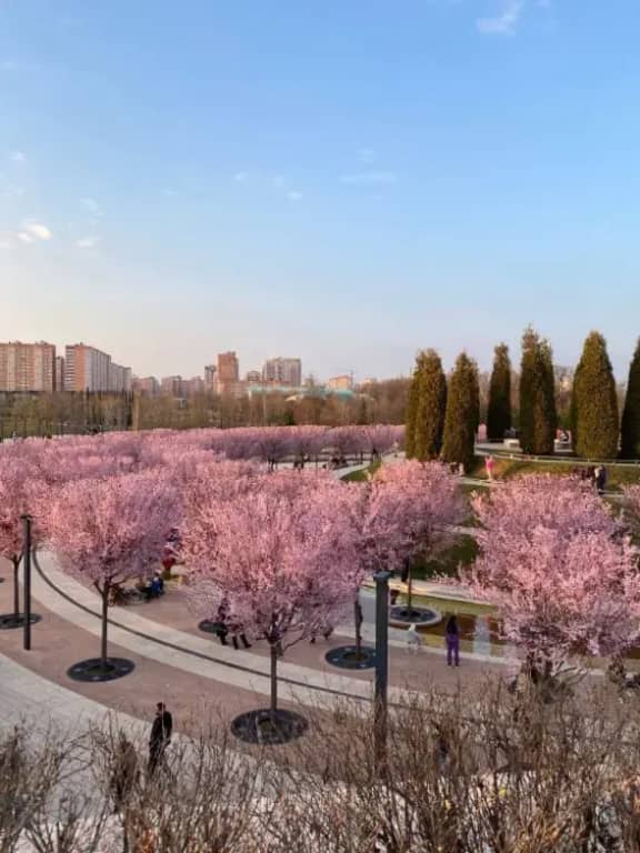 Апартаменты Капучино: фото 7