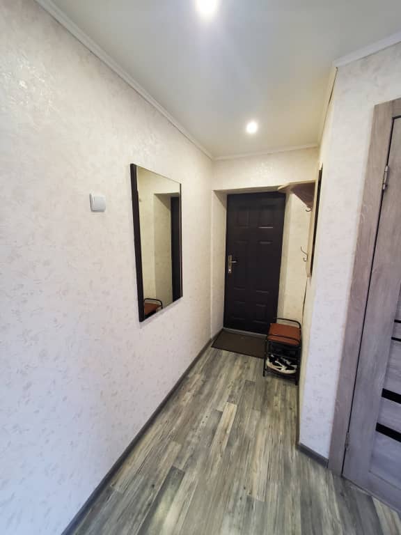 Квартира 1-комн 4чел ApartLand плВолодарского Центр: фото 6