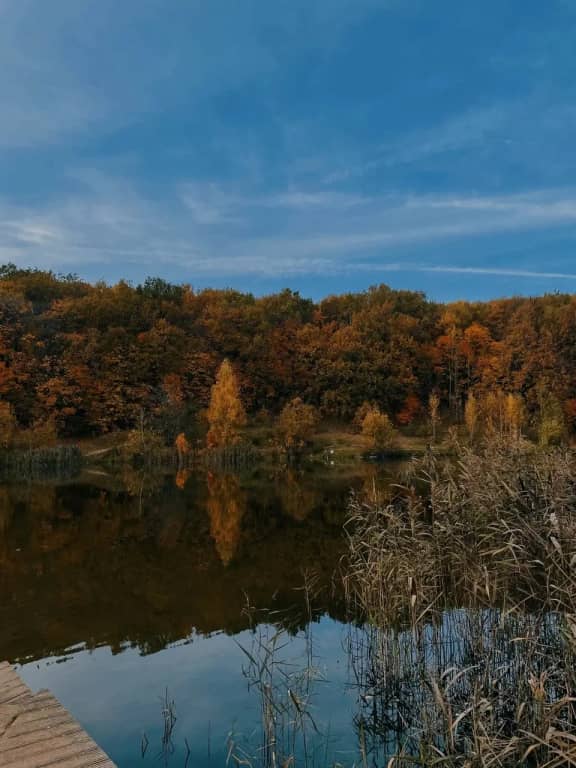 Отель Золотой Клевер в Кузнечихе: фото 5