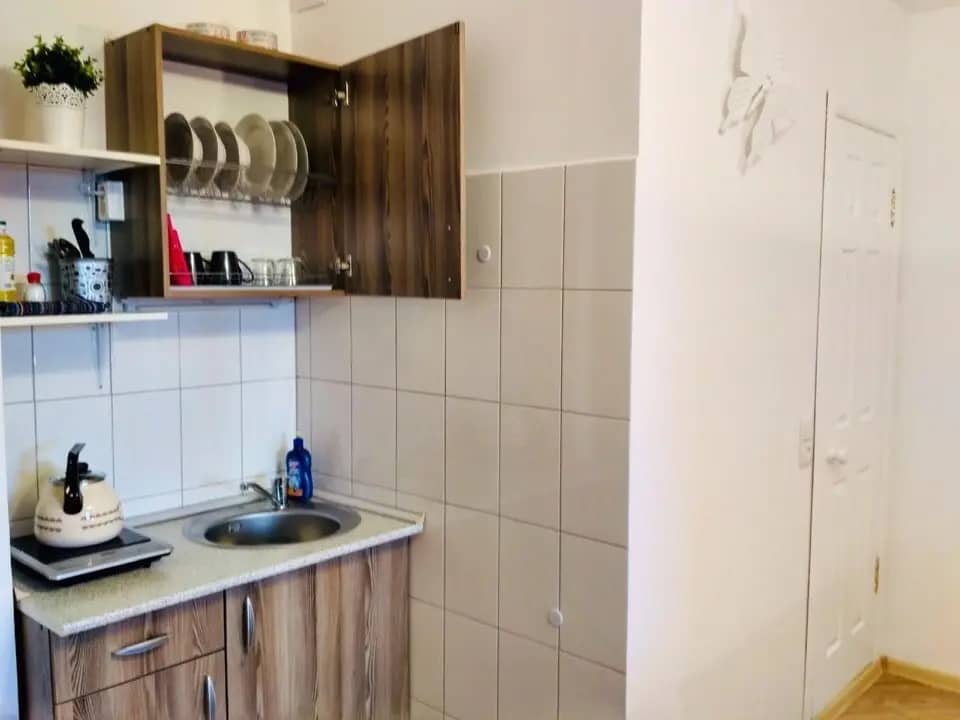 Апартаменты Nice-flats в Андреевке: фото 5