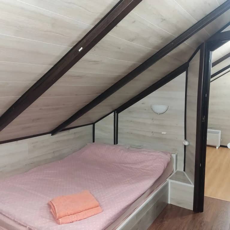 Pregolsky Guest House: фото 4