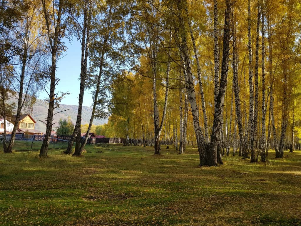 База отдыха Благодать: фото 5