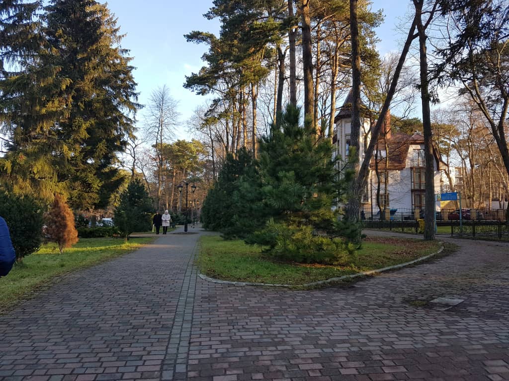 Апартаменты Svetlogorsk: фото 6
