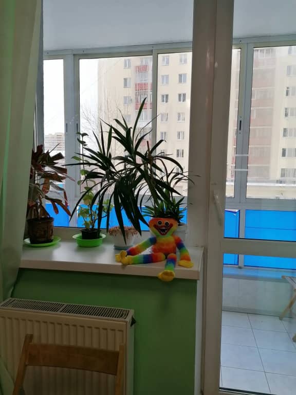 Хостел Радуга: фото 7