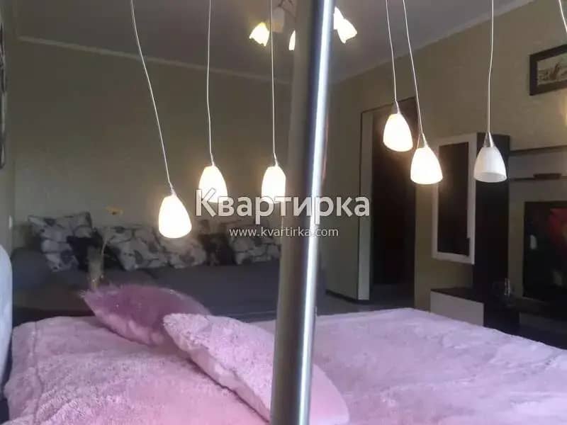 Апартаменты Однокомнатная на Иванникова в центре: фото 4
