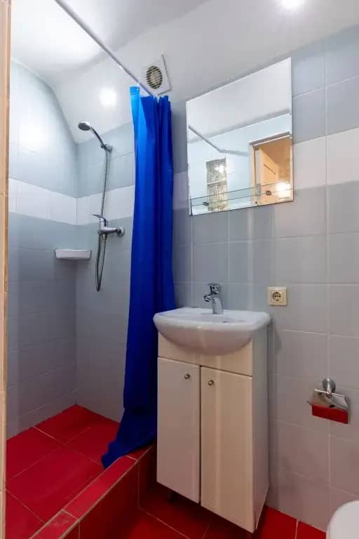 Апартаменты 1+1  Leohotels на Лиговском: фото 7