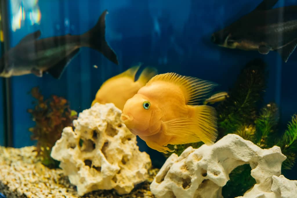 Гостиница Дом рыбака: фото 4