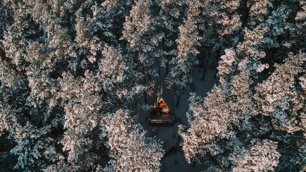 Greenvald Парк Скандинавия: фото 4