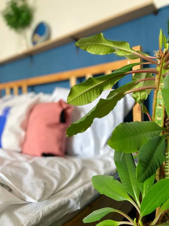 Апартаменты с видом на Воронежское водохранилище: фото 6