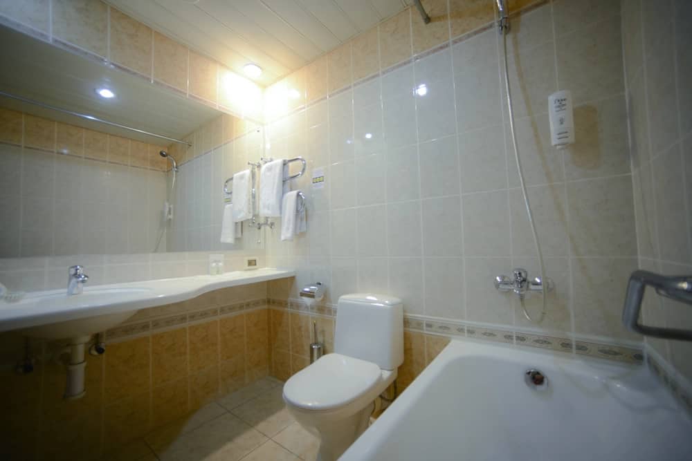 Отель Аэротель Домодедово ZONT Hotel Group: фото 4