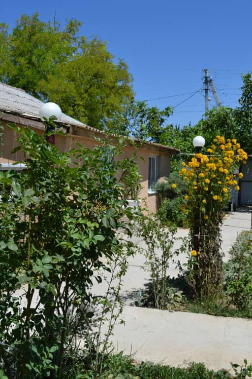 Гостевой дом Бонсай: фото 5