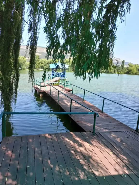 Отель Лагуна: фото 4