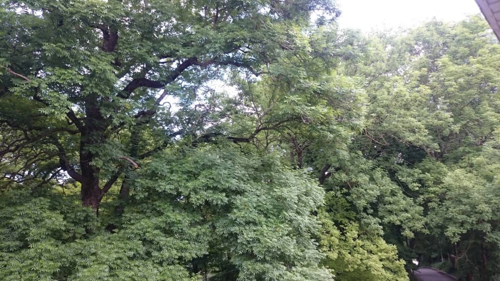 Гостиница Динамо: фото 5