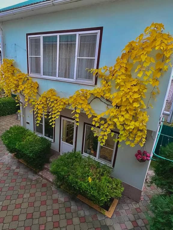 Гостевой дом Элис: фото 6