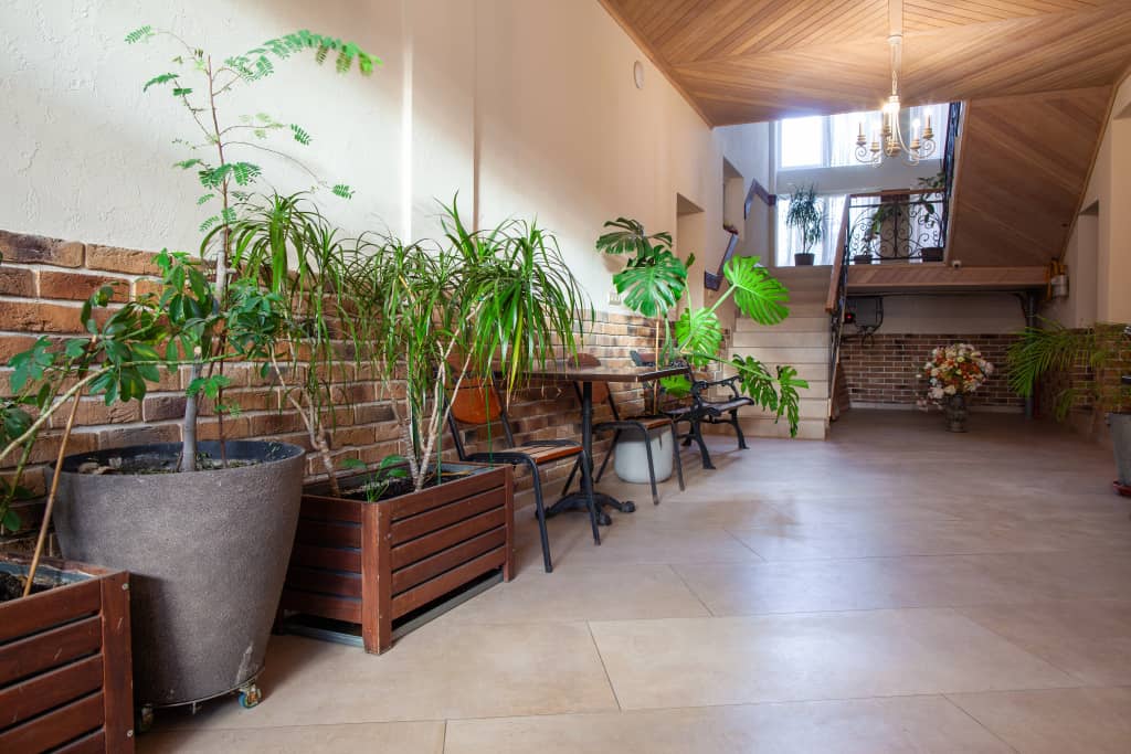 Emili Guest House: фото 6