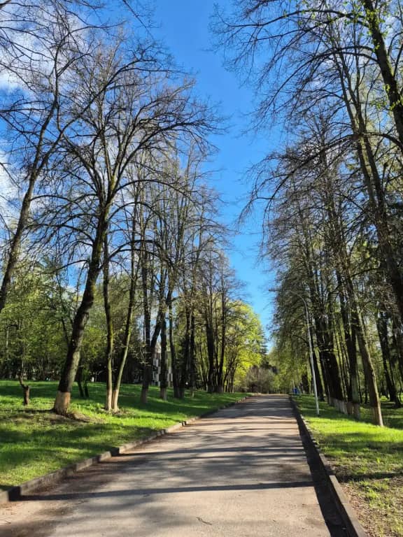 Парк-Отель Актер-Руза: фото 4