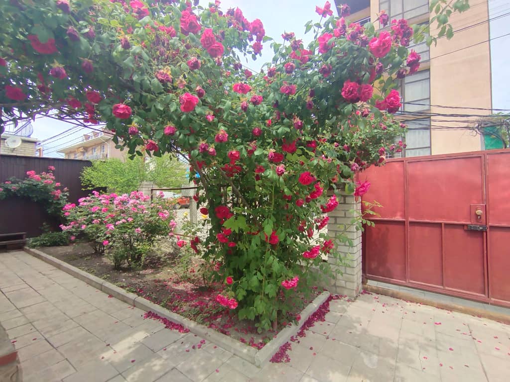 Частный дом Песчаная: фото 5