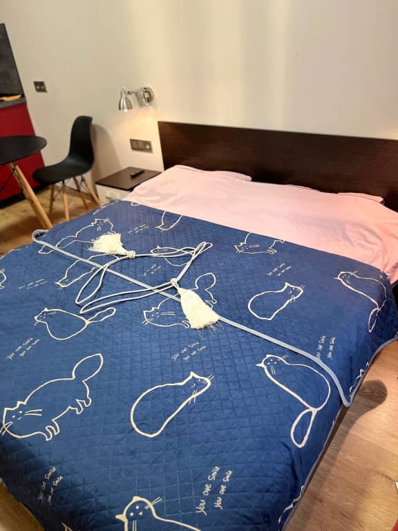 Апартаменты DreamApart у Кировского Завода: фото 6