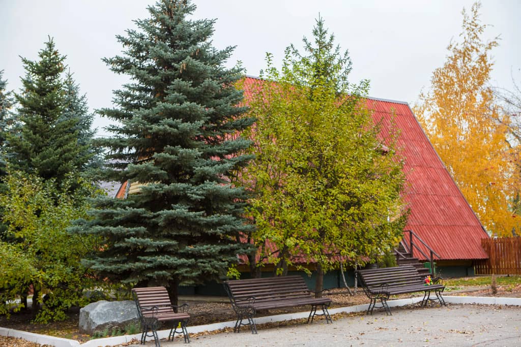 Загородный Комплекс Александрина: фото 6