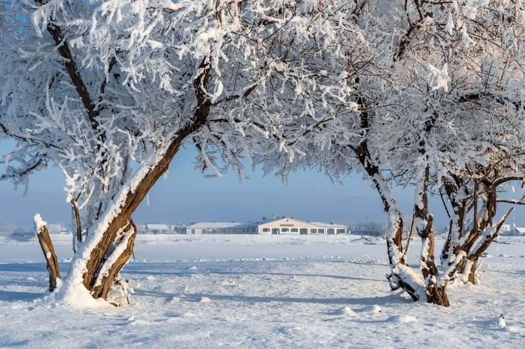 Бутик-Отель Рыбзавод: фото 5
