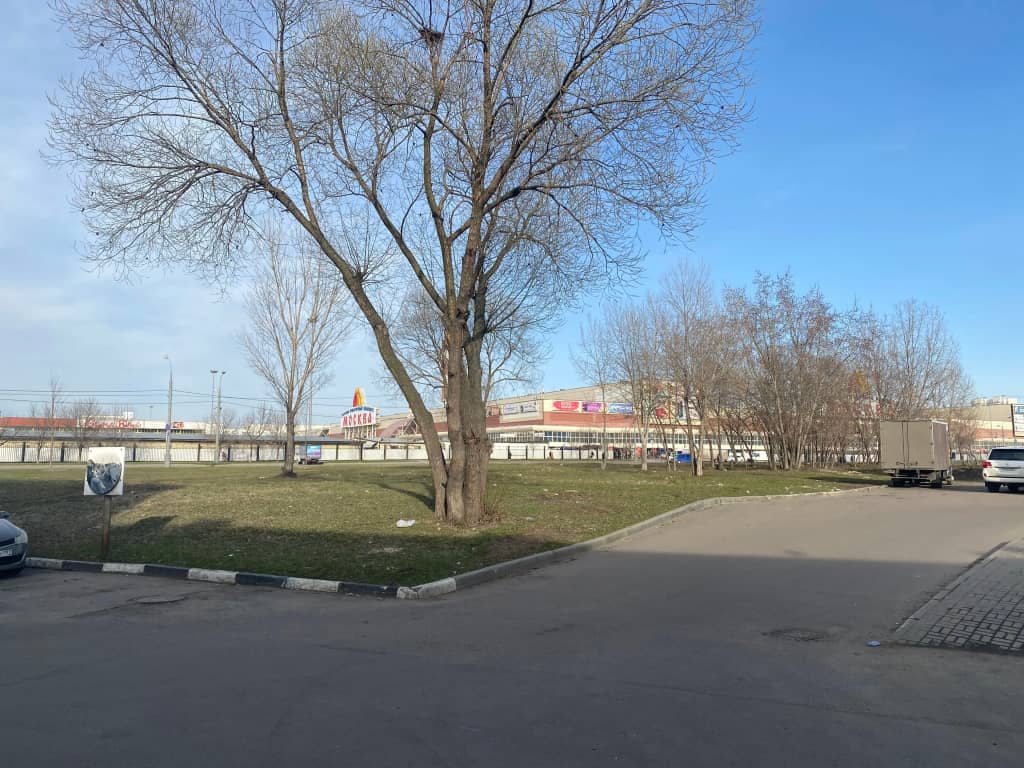 Отель Hayat (Хаят): фото 4