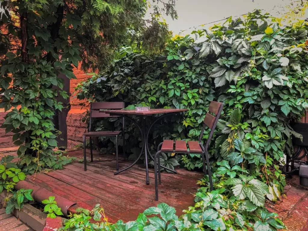 “Бутик-отель “Red-House” (сдача комнат посуточно в найм): фото 6
