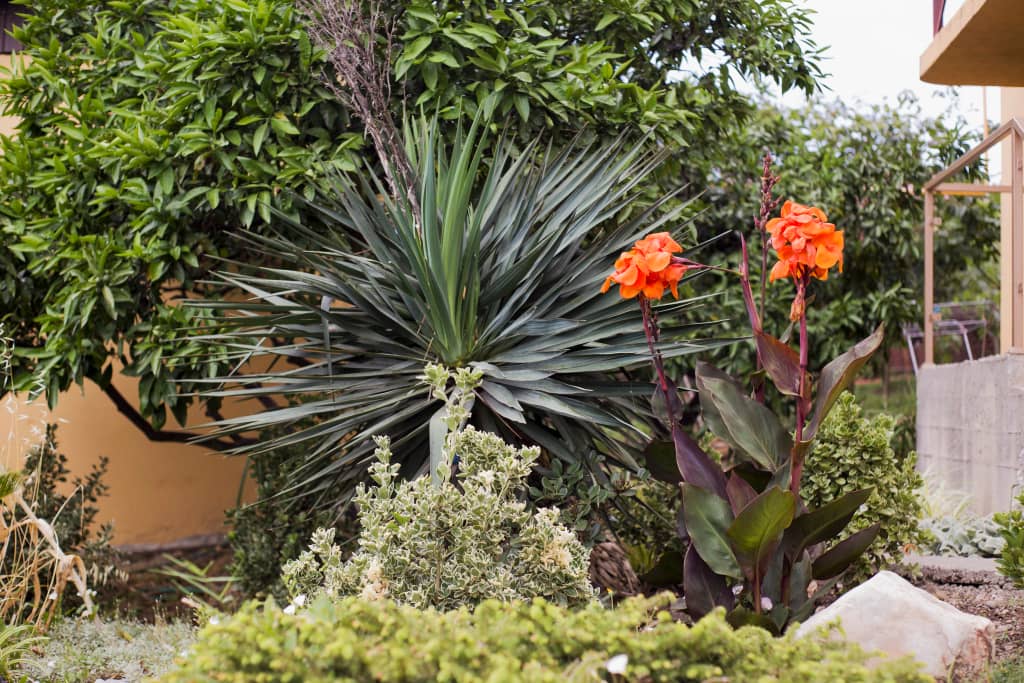 Гостевой дом Барса: фото 6