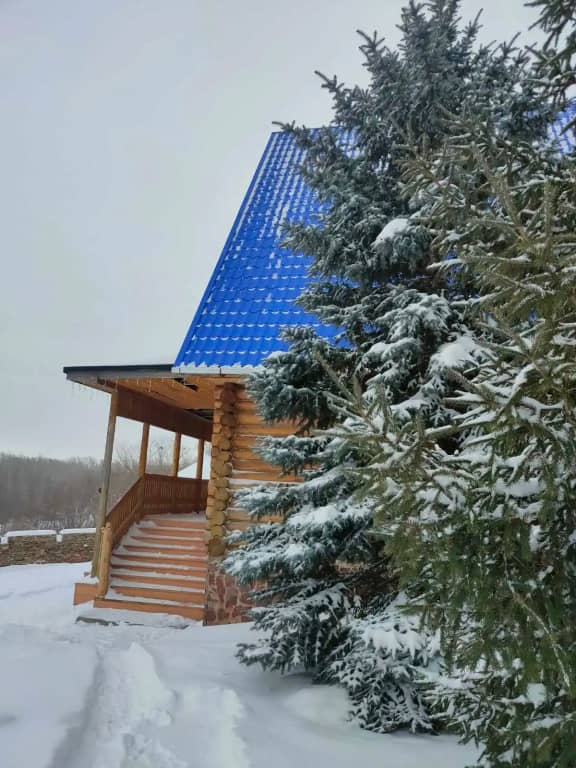Гостевой дом Кизил: фото 6
