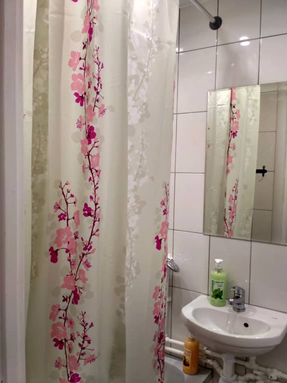 Апартаменты Nice-flats в Андреевке: фото 7