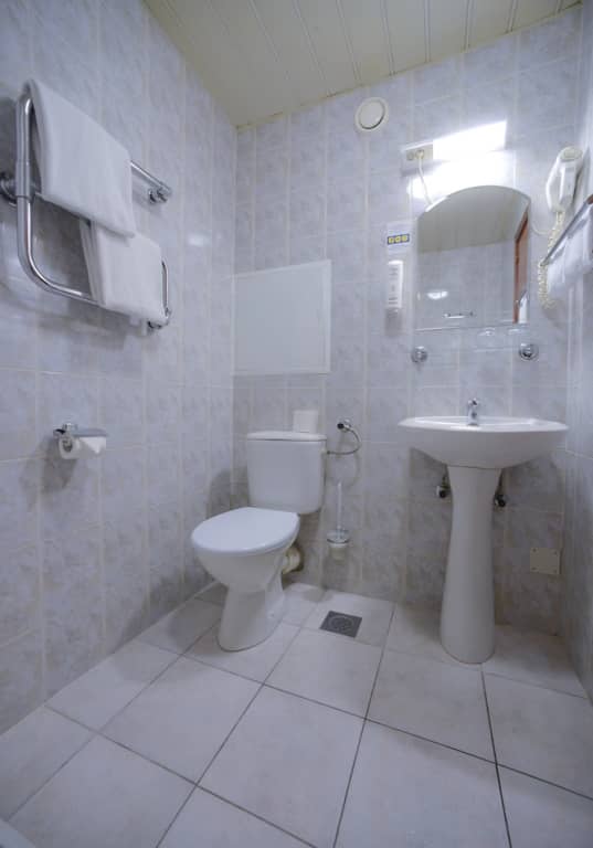 Отель Аэротель Домодедово ZONT Hotel Group: фото 7