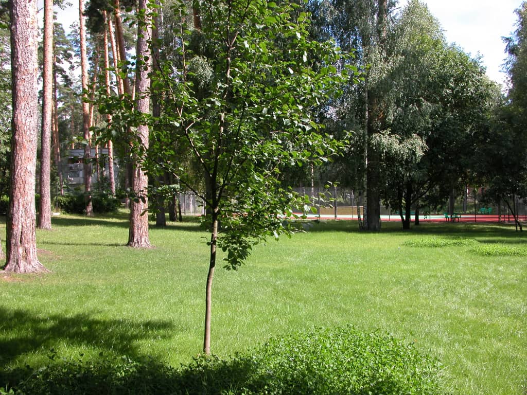 Загородный гостиничный комплекс Серебряный бор: фото 7