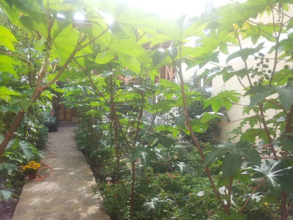 Rusalka Guest House: фото 7