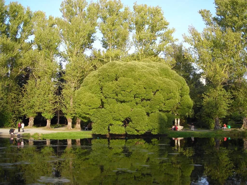 Гостиница Октябрьская: фото 5