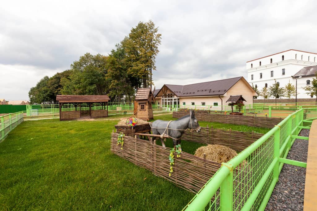 Парк-отель РУСЬ: фото 6