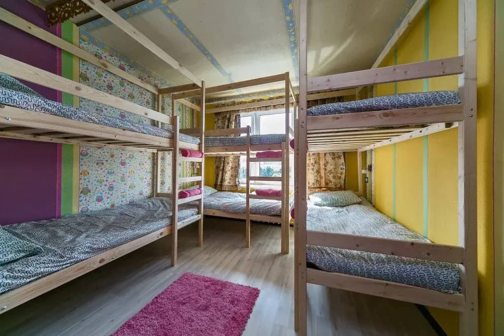 Crazy Monkey Hostel next to the Moscow Zoo: фото 5