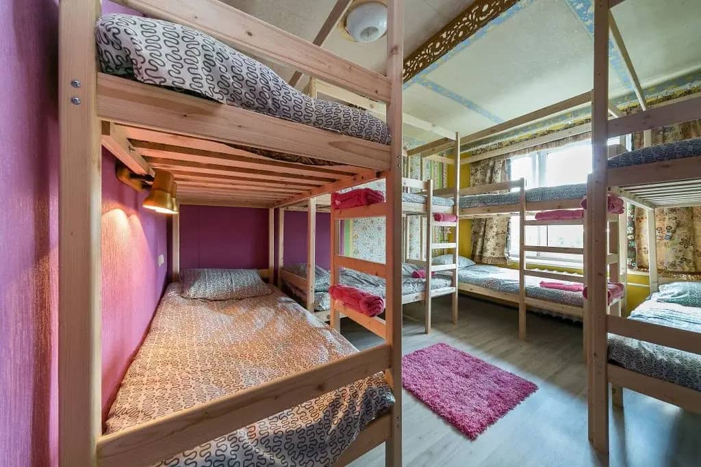 Crazy Monkey Hostel next to the Moscow Zoo: фото 4